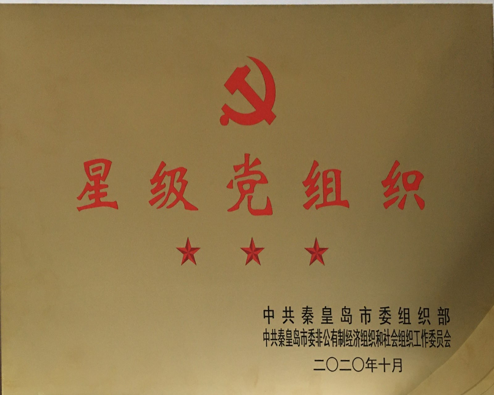 星级党组织