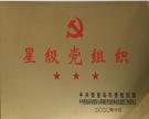 星级党组织